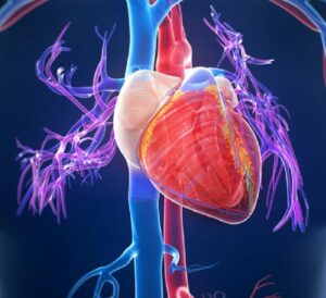 Semaglutide nello scompensato obeso con frazione di eiezione preservata